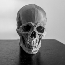 cráneo versión 11 anatomía huesos apuntalar esculpir masculino 3d print model - Mito3D