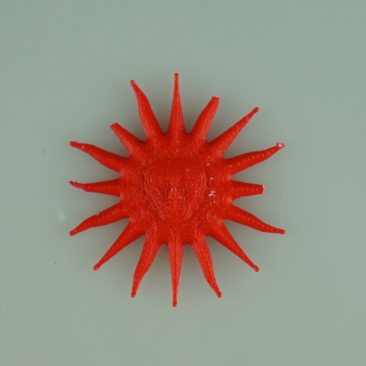 soleil 2015 argentine jour l'indépendance jardin l'argentine 3D print model - Mito3D