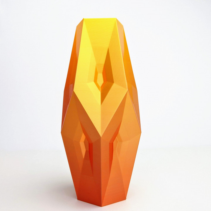 fuego faceta florero flor soporte Arte escritorio matemáticas oficina organizador pentágono maceta papelería estilo mesa plantador dodecaedro geometría decoración artículos hogar 3D print model - Mito3D