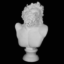 cabeza laocoonte union des mus nationaux parís scan favoritos 3d print model - Mito3D