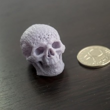 maillé crâne engrener soutenir sla 3d print model - Mito3D