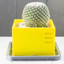 hatched planter garden cactus indoor planters succulents succulent cacti 3d print model - Mito3D