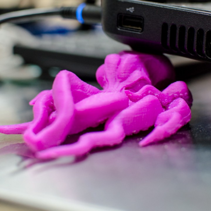 ahtapot laptop incliner araçlar elektronik 3d baskı hayvan gadget heykel ahtapotlar octopodes kafadanbacaklı yumuşakça octopoda incliners hightdetailsculpt theoctopus orderoctopoda bilaterallysymmetric laptopincliner 3D print model - Mito3D