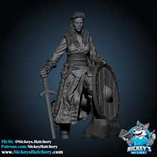SIV vikingo proteger doncella mesa hembra guerrero personaje juego dnd 3d print model - Mito3D