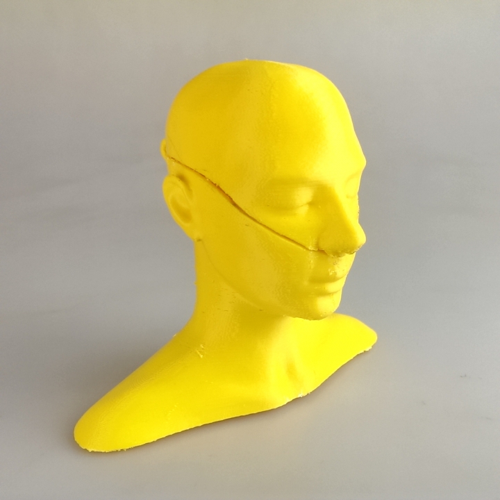 mulher caixa cabeça jardim 3D print model - Mito3D