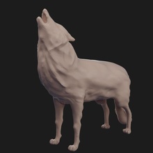 howling wolf 3d print model - Mito3D