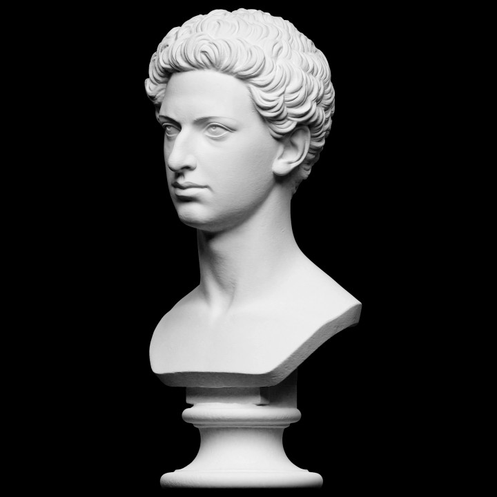 cristiano carl friedrich agosto scansione fallimento re ritratto Roma reale scultura marmo Museo maschio Copenaghen Danimarca thorvaldsen berttel Prussia openglam artec eva christiancarlfriedrichaugust augusta 3D print model - Mito3D