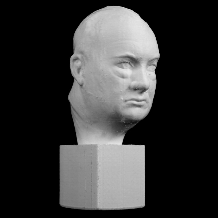 sir winston churchill scan 3D print model - Mito3D