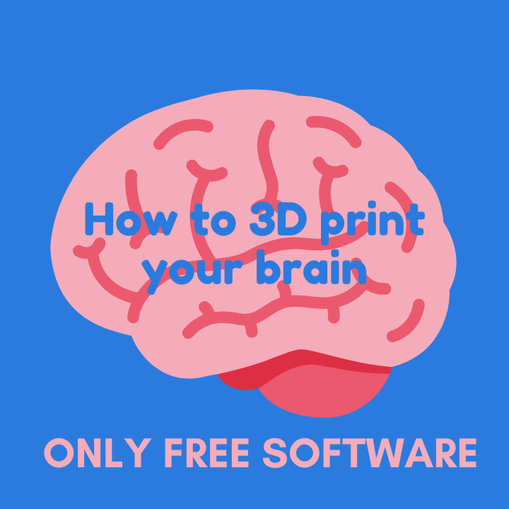 3d Stampa cervello giocattoli Giochi gratuito arte Software 3D print model - Mito3D