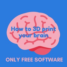3d print brain toys & games free art software 3d print model - Mito3D