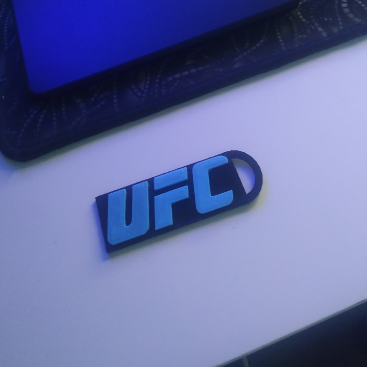 ufc llavero mma 3D print model - Mito3D