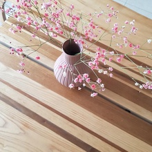 vase fleur fleurs l'eau vases vasemode 3d print model - Mito3D