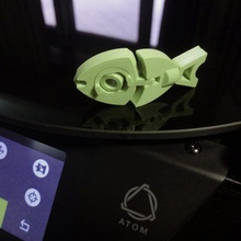 brecha test fish pez prueba amao 3d print model - Mito3D