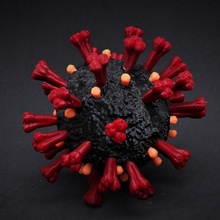 coronavírus zbrush 3dmodel vírus 3d print model - Mito3D