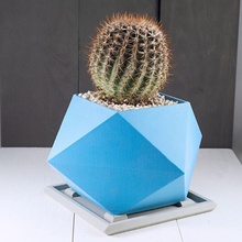 appuntito fioriera pianta cactus impianti fioriere piante grasse succulenta succulent planter indoor plant plants 3d print model - Mito3D