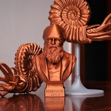 Darwin journée buste Darwinday 3d print model - Mito3D