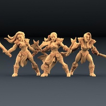 barbare maîtres lame 3 unités amazones kickstarter table armée diablo dragons donjons combattant mini miniatures personnage miniature minis jeu guerre dnd ttrpg 3d print model - Mito3D