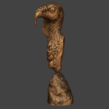 dinde buste boutique animal animaux oiseau décoration nature sculpture zbrush biologie oiseaux 3d print model - Mito3D