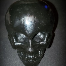 skull & garden 3d print model - Mito3D