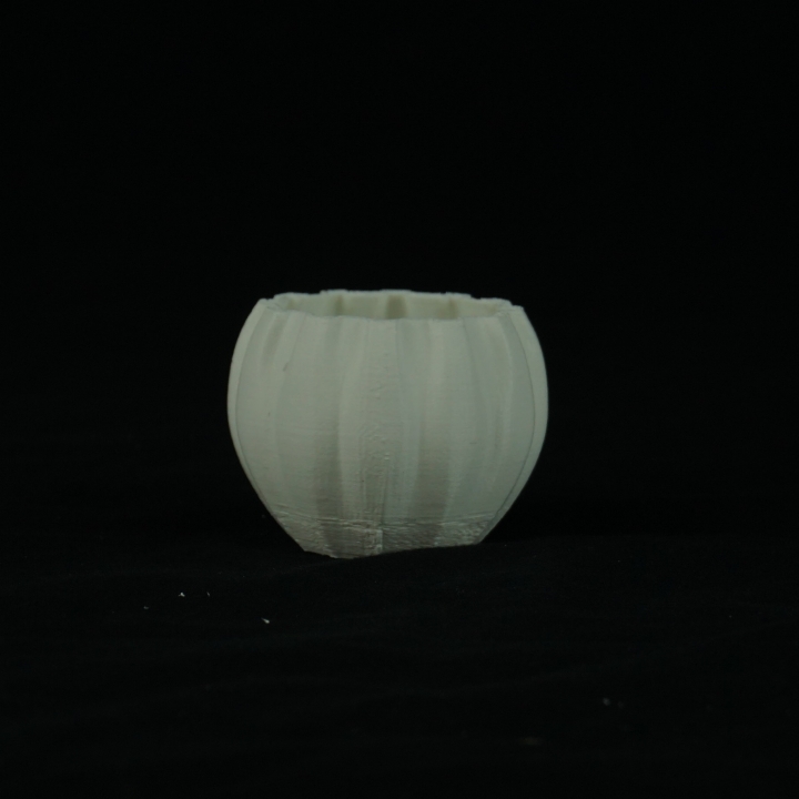 vase & garden flower 3D print model - Mito3D