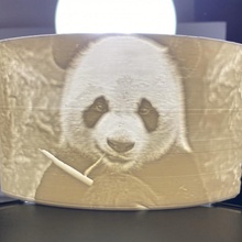 panda litofano 3d print model - Mito3D