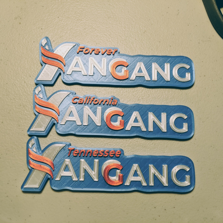 Yang Gang 6 Magnet Yanggang yang2020 yang2024 3D print model - Mito3D