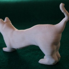 gatto casa giardino animale animali cat domestico gli domestici 3d print model - Mito3D