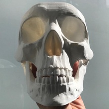 crâne anatomie rangé organisateur poches ender3 belle géométrie 3d print model - Mito3D