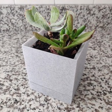 minimal planter drainage easy garden kitchen plant square plants 3d print model - Mito3D