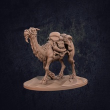 Rose Kamel Tischplatte Tier Kreatur Wüste Drachen Dungeons Mini montieren Sand Miniatur Fallensteller Pack dnd arabisch ttrpg Hütte 3d print model - Mito3D