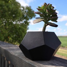 geometric succulent planter flower diy easy pot simple 3d print model - Mito3D
