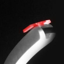 semplice morsetto flessibile topo cavo titolare supporto carl espzar 3d print model - Mito3D