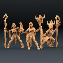 kan rahibeler 3 birimleri Amazonlar Kickstarter masaüstü ejderhalar Zindanlar kadın mini minyatürler Warhammer karakter minyatür rahip minis Amazon dnd yol bulucu esnaf 3d print model - Mito3D