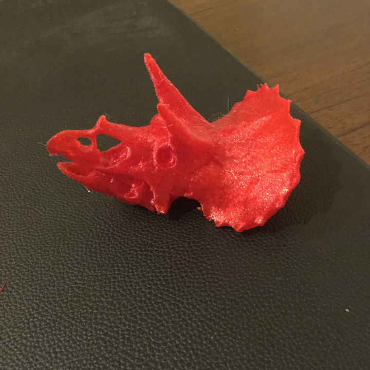 triceratops skull dinosaur 3D print model - Mito3D