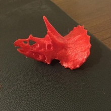 triceratops cráneo dinosaurio 3d print model - Mito3D