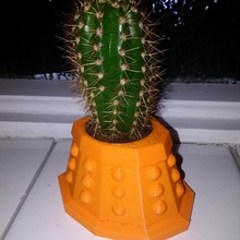 dalek cactus testa giardino pianta medico darlek 3d print model - Mito3D
