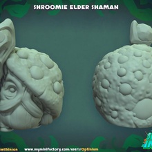 shroomie yaşlı şaman minyatür masaüstü Şirin ejderhalar Zindanlar oyun mini canavar savaş oyunları karakter düşman masa oyunu mantar mantarlar myconid npc 3d print model - Mito3D