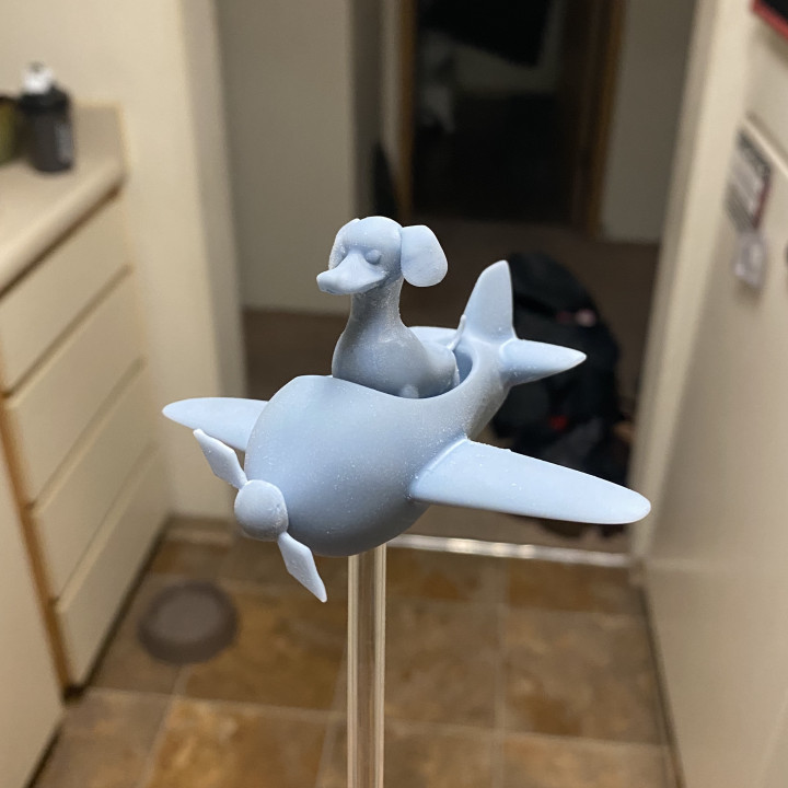 köpek bilgelik 3D print model - Mito3D