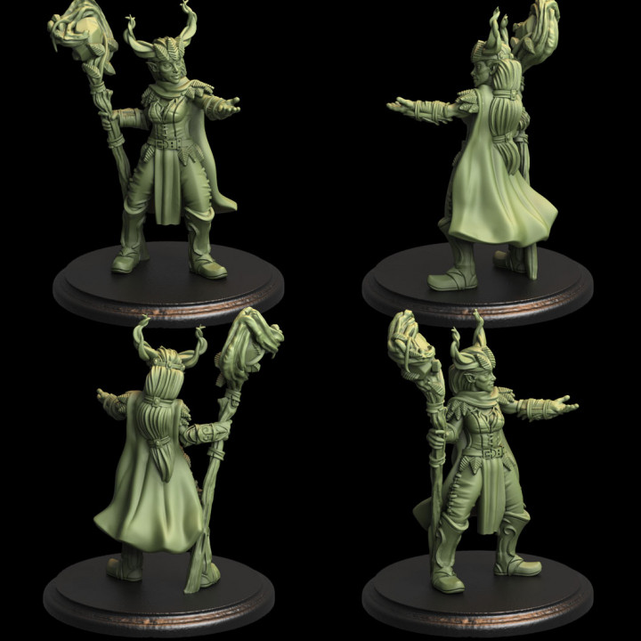 duende druida tampo mesa stl criatura humano miniaturas Magia funcionários humanóide bosque feitiços tytantroll 3D print model - Mito3D