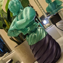 mood lamp challenge - glowing genie & garden disney aladdin anycubic functionalprint matterhackers anycubici3mega moodlamp electromakerkitscompetition 3d print model - Mito3D