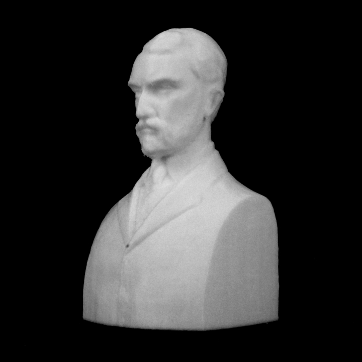 gheorghe popa arad romania scan 3D print model - Mito3D