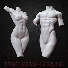 practice mannequins free anatomy body design female man model skin woman painting male paint muscle muscles mannequin 3d print model - Mito3D