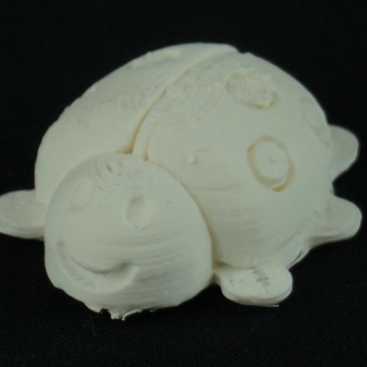 uğurböceği marienk fer sanat hayranı hata beatle 3D print model - Mito3D
