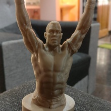 john cena wwe raw anatomy wrestling johncena gurjeet3d wwf 3d print model - Mito3D