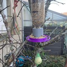 upcyle mangiatoia per uccelli uccello upcycling all'aperto alimentatore sodastream 3d print model - Mito3D