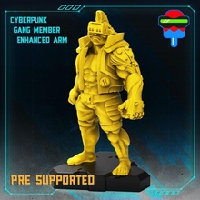 siberpunk çete Kral erkek masaüstü dövüşçü karakter gözlük sibernetik mma Cyberarm 3d print model - Mito3D