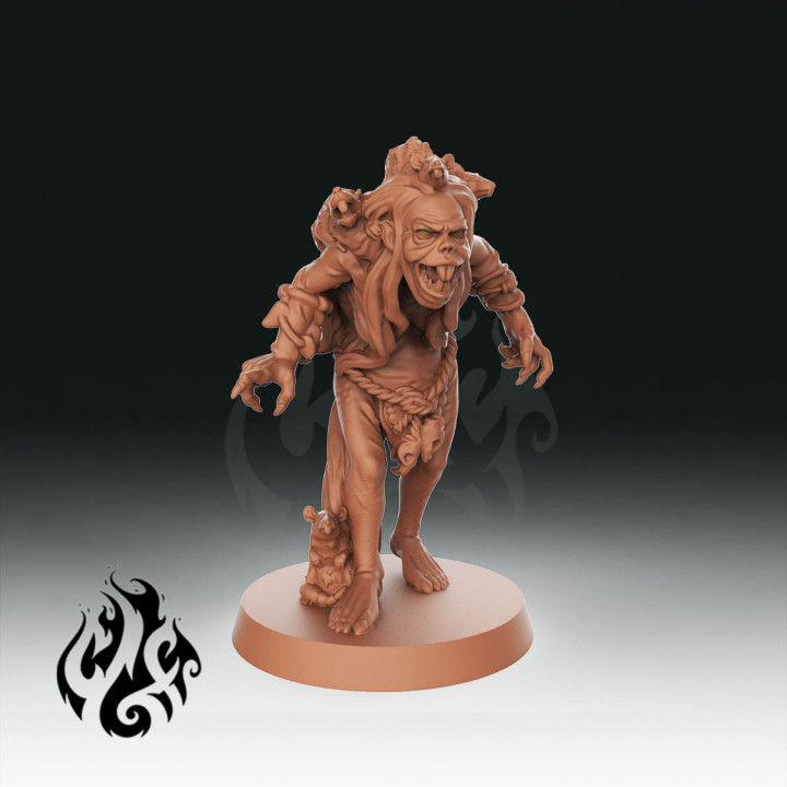 ratty patty tabletop fantasy god miniatures rpg wargames witch dnd pathfinder tabletopgames foundry hag swamp crippled crippledgodfoundry crippledgod bog 3D print model - Mito3D