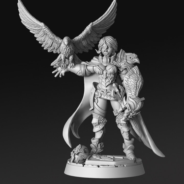 nadia- falconer ward paladin - 32mm dnd tabletop armor eagle falcon girl woman heavy hawk heavyarmor 3D print model - Mito3D