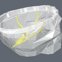 dr cérebro crânio conduziu anatomia Diversão enigma zumbi 3d print model - Mito3D
