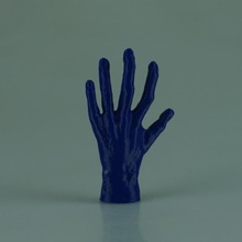 hand Pianistin scan pianist scantheworld 3d print model - Mito3D